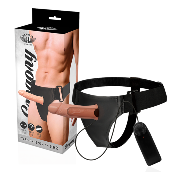 vVigoroso HARNESS ATTRACTION - GREGORY HOLLOW RNES COM VIBRADOR 16