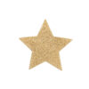 vVigoroso BIJOUX - INDISCRETS FLASH GOLDEN STAR NIPPLE COVERS