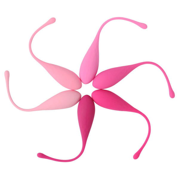 Vigoroso LESLIE - KEGEL FIT PELVIC MUSCLE TRAINING CONJUNTO 6 PCS