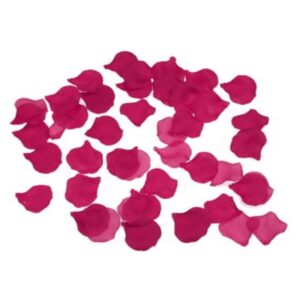 vVigoroso DIABLO PICANTE - 100 FUCHSIA PETALS