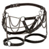 CALEXOTICS - EUPHORIA MULTICAIN THIGH HARNESS PREMIUM TAMANHO PLUS - Image 2