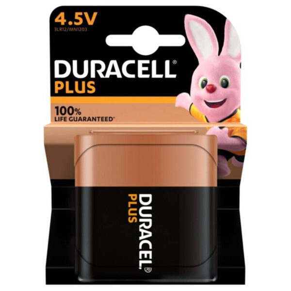 Vigoroso DURACELL - BATERIA ALCALINA PLUS POWER 100 4