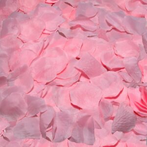 vVigoroso DIABO PICANTE - 100 PÉTALAS ROSA