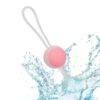 CALEXOTICS - SHE-OLOGY CONJUNTO BOLAS KEGEL INTERCAMBIVEIS - Image 3