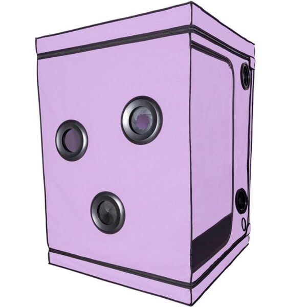 vVigoroso SECRET DOME - ESCÂNDALO ROXO DO CLUBE KINK