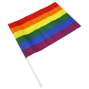 vVigoroso PRIDE - FLMULA MÉDIA BANDEIRA LGBT