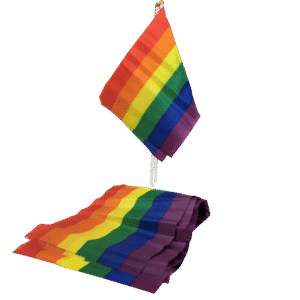 vVigoroso PRIDE - BANDEIRA LGBT BANDEIRA PEQUENA