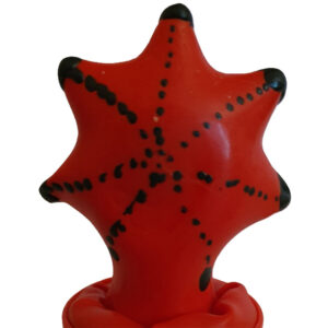 Vigoroso - CONDOMERIE - PRESERVATIVOS NOVIDADES PINTADOS À MÃO ESTRELA DO MAR