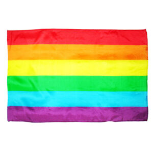 vVigoroso PRIDE - BANDEIRA MÉDIA LGBT