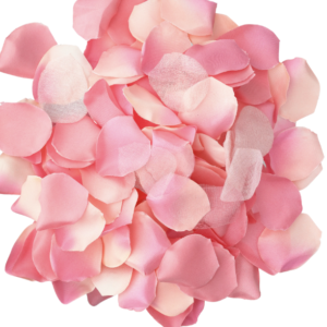 vVigoroso DIABO PICANTE - 100 PÉTALAS ROSA