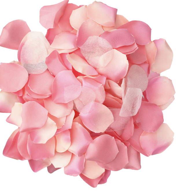 vVigoroso DIABO PICANTE - 100 PÉTALAS ROSA