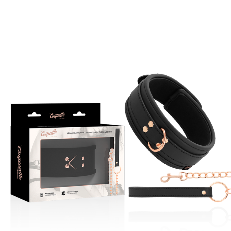 vVigoroso COQUETTE CHIC DESIRE - COLAR DE COURO FANTASY VEGAN COM ALA E FORRO DE NEOPRENE